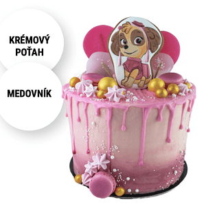 Detská torta PAW Patrol Skye Torty NItra