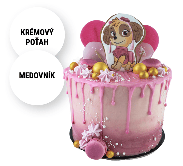 Detská torta PAW Patrol Skye Torty NItra