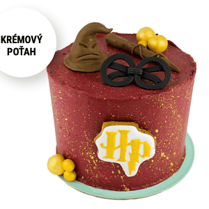 Torta Harry Potter čarodejník na objednávku Torty Nitra